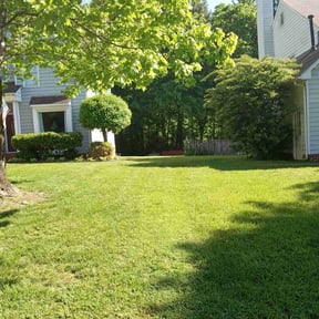yard maintenance by Donald Austile Lawn Care reviewed on August 19, 2025