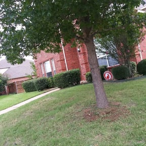 Bush Trimming by Mobile Services reviewed on August 21, 2025