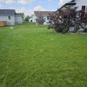 landscaping services by Rhino Tuff Lawncare and Tree Specialist reviewed on August 16, 2025