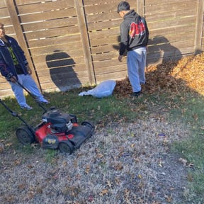 Leaf Removal by pte llc reviewed on September 15, 2025