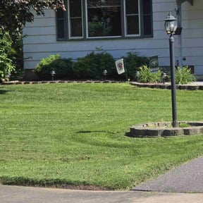 yard maintenance by On Grass Property Management LLC reviewed on August 20, 2025