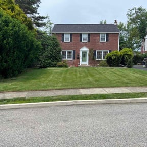 turf care by Cut Rite reviewed on July 16, 2025