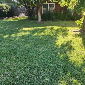 grass maintenance by Fourmysix, LLC reviewed on August 19, 2025