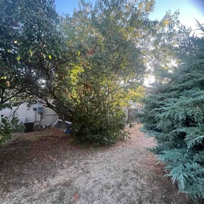 Bush Trimming by Uppercuts Lawn Care reviewed on October 28, 2021