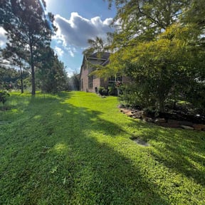 yard work by Joe Molinaro reviewed on August 18, 2025
