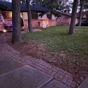 Leaf Removal by Thomas Scott Landscaping reviewed on October 22, 2025