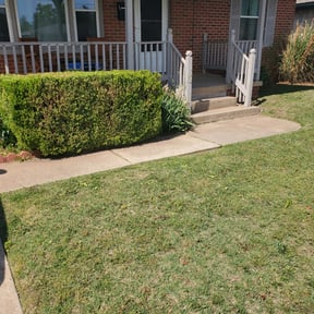 Bush Trimming by After Care Express SVC reviewed on August 19, 2025