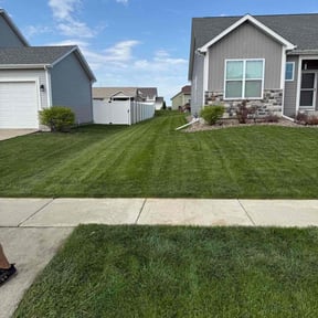 turf care by Héctor Lawn and Tree reviewed on May 17, 2024