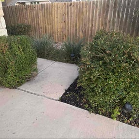 Bush Trimming by Holt Deluxe Lawn Care reviewed on December 11, 2025