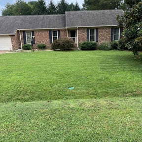 yard care by T's lawn care reviewed on May 30, 2025