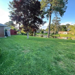 yard maintenance by Two Brother&#039;s  Lawncare llc reviewed on August 17, 2025