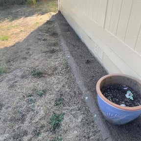 Flower Bed Weeding by Chuyin&#039;s Lawn Care LLC reviewed on October 20, 2025