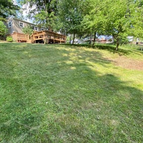 Leaf Removal by Harvey Enterprise LLC reviewed on September 13, 2025