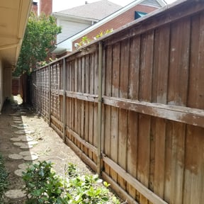 Bush Trimming by Mainline Lawn reviewed on August 17, 2025