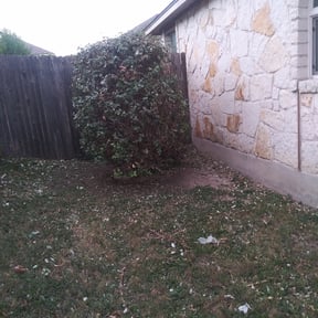 Bush Trimming by Develop-men industry llc reviewed on August 20, 2025