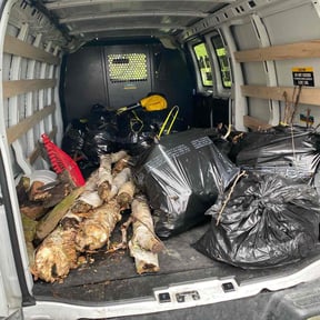 Leaf Removal by Harris Property Solutions LLC reviewed on September 23, 2025