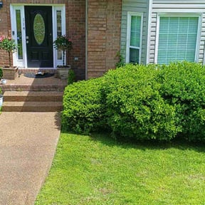 landscaping services by Lawns and Gardens by Andrew reviewed on August 16, 2025