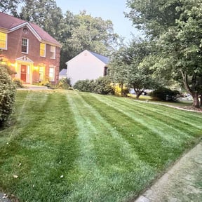 yard maintenance by 7Brother Landscaping reviewed on November 23, 2025