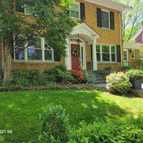 yard service by Boss Outdoor Service reviewed on August 17, 2025