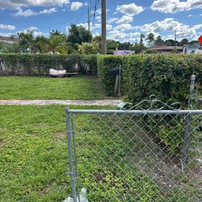 Bush Trimming by The Green Op reviewed on November 6, 2025