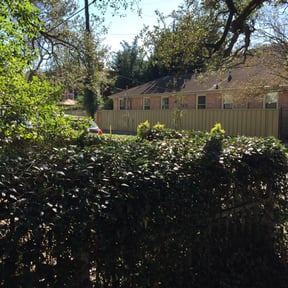 Bush Trimming by Ras property Management reviewed on August 16, 2025