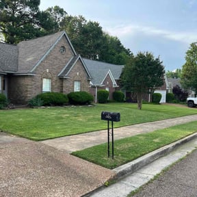 residential landscaping by Top Turf L.L.C reviewed on August 17, 2025