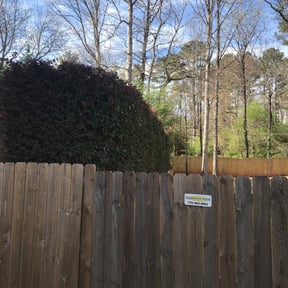Bush Trimming by The Greener Side Landscape Maintenance And Design LLC reviewed on August 15, 2025