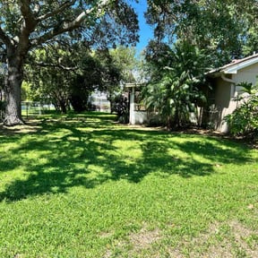 yard service by Demiteria Casey Mattox reviewed on May 10, 2024