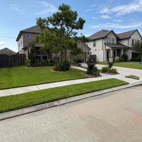 landscaping services by Cut reviewed on August 16, 2025
