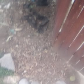 Flower Bed Weeding by La Costa Irrigation & Landscaping LLC reviewed on August 21, 2025