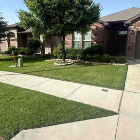 yard service by Haddad's lawn care and landscaping reviewed on August 20, 2025