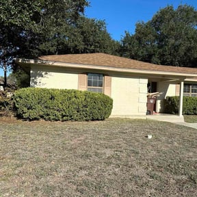 Bush Trimming by Three Roots Landscaping &amp; Junk Removal reviewed on December 11, 2025