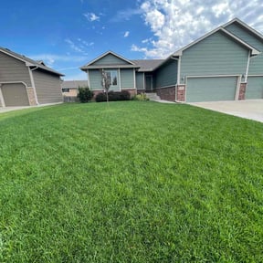 turf care by Motivational landscaping reviewed on August 20, 2023