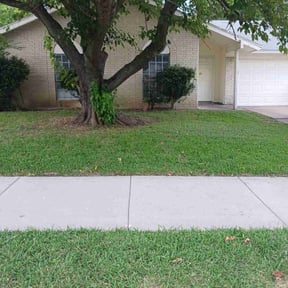 landscaping by RTH Lawn Service & Landscaping LLC reviewed on August 16, 2025