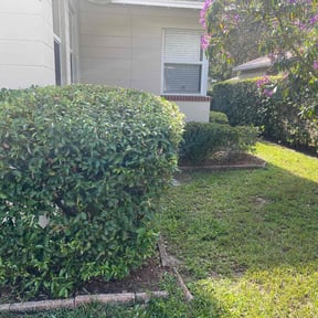 Bush Trimming by Brooks lawn Care reviewed on August 15, 2025