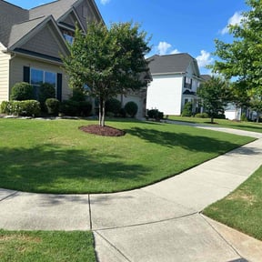 landscape maintenance by Grass Sharks Lawn Care reviewed on December 3, 2025