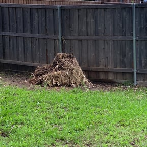 Bush Trimming by Curry's mowing reviewed on August 18, 2025