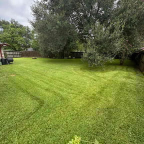 yard maintenance by Country Boy Mikey's Lawn Care reviewed on August 20, 2025