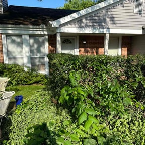 Bush Trimming by L&J Investment Properties reviewed on August 19, 2025