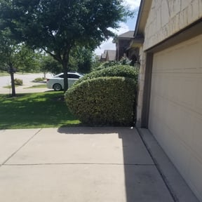 Bush Trimming by Nextdoor Lawn Services LLC reviewed on August 19, 2025