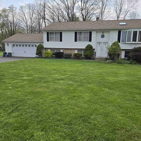 landscaping services by Green Earth Lawn and snow LLC reviewed on August 16, 2025