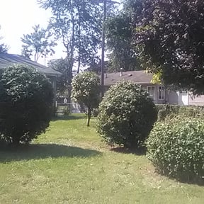 Bush Trimming by Poetry In Motion, LLC reviewed on August 16, 2025