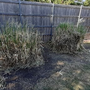 Bush Trimming by Escobar's Landscaping reviewed on August 21, 2025