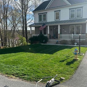 yard care by Stephen Reynolds reviewed on October 27, 2023