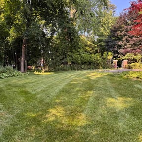 lawn service by Pure Lawn Care reviewed on August 19, 2025