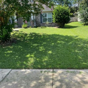 gardening service by Diego Mojica Lawn Care reviewed on August 18, 2025