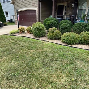 Bush Trimming by Clean Green Lawn Care reviewed on August 15, 2025