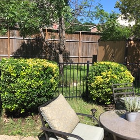 Bush Trimming by RhodenColes Investments reviewed on August 19, 2025