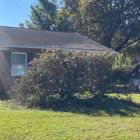 Bush Trimming by Hanson Lawn Care reviewed on November 10, 2025