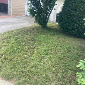 turf maintenance by Kingdom Creations reviewed on April 17, 2024